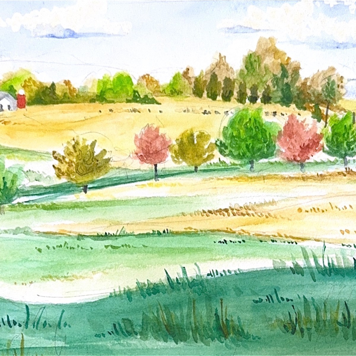 Tree-lined rural road