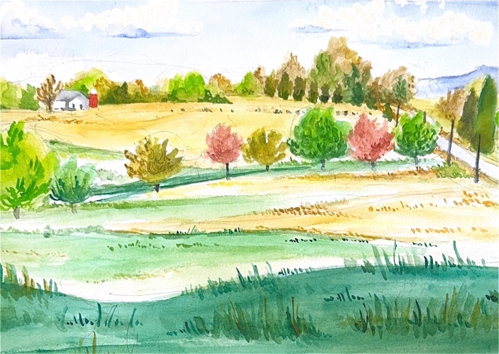 Tree-lined rural road