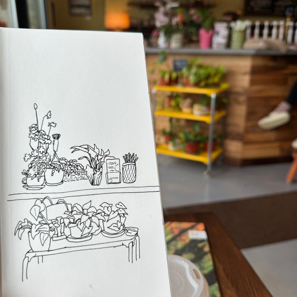 Plants for sale at the&nbsp;cafe