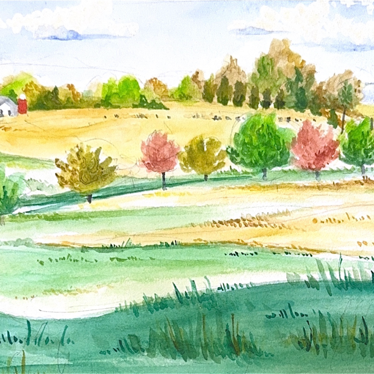 Tree-lined country road