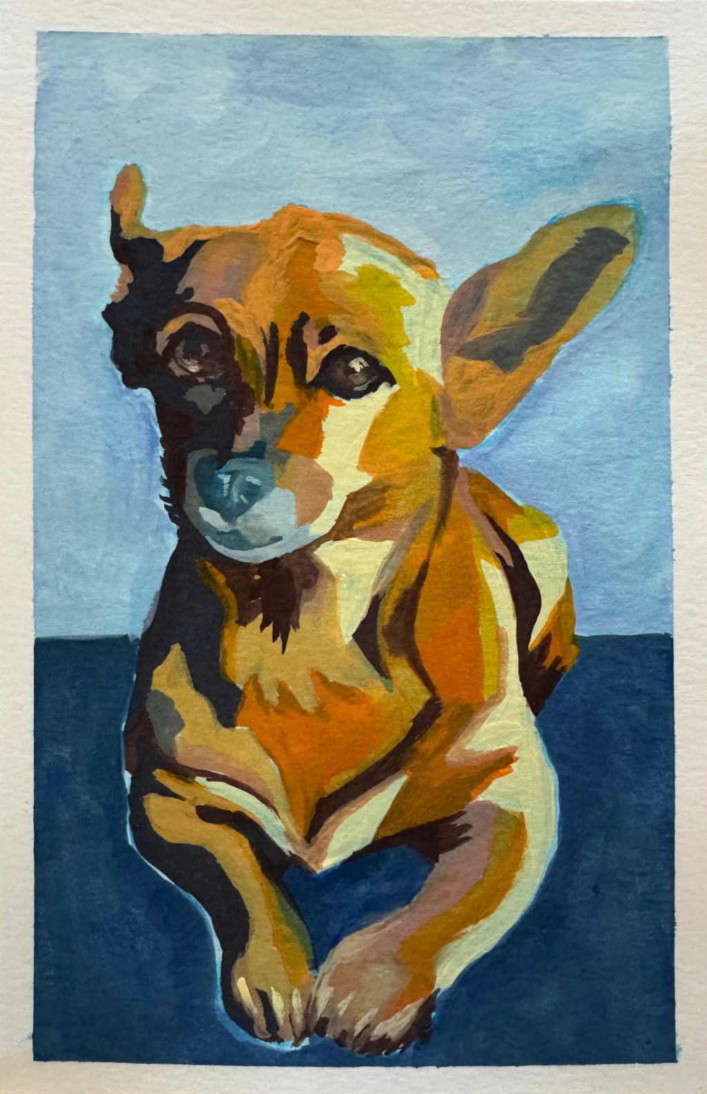 Chihuahua