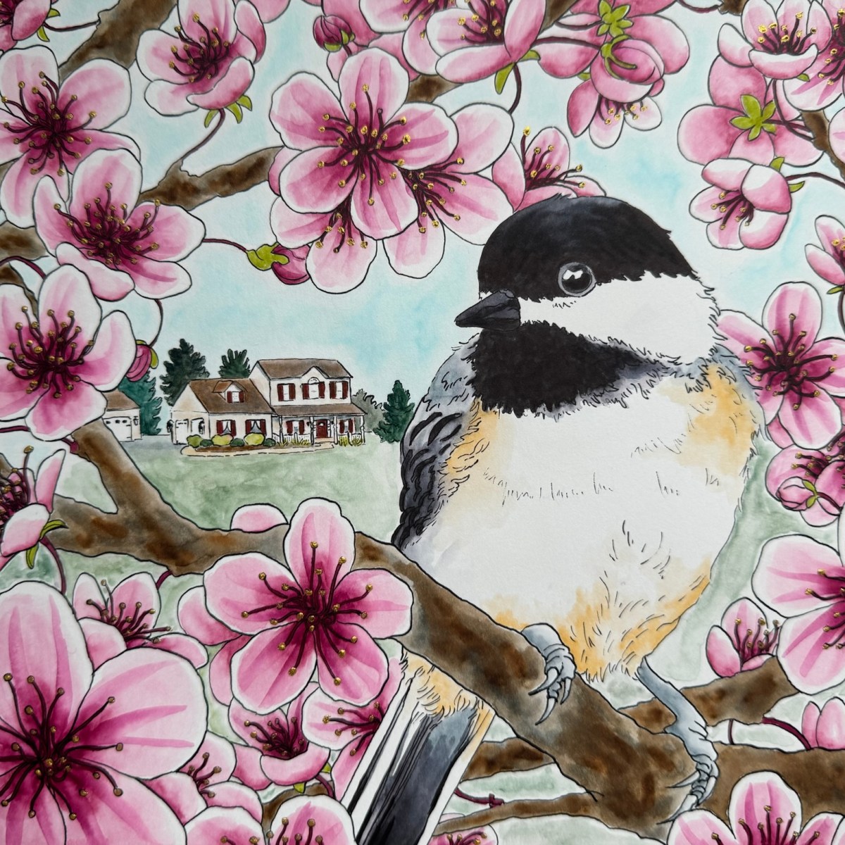 Chickadee in a cherry&nbsp;tree